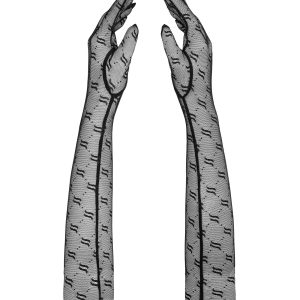 Obsessive Lingerie: Obsessivia sexy guanti al gomito