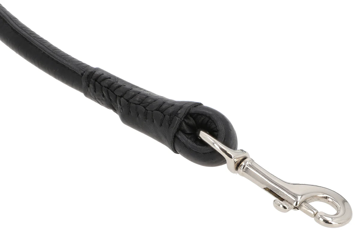 Abelard - immagine 5