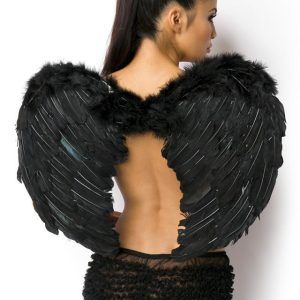 Ali da angelo con piume in due colori