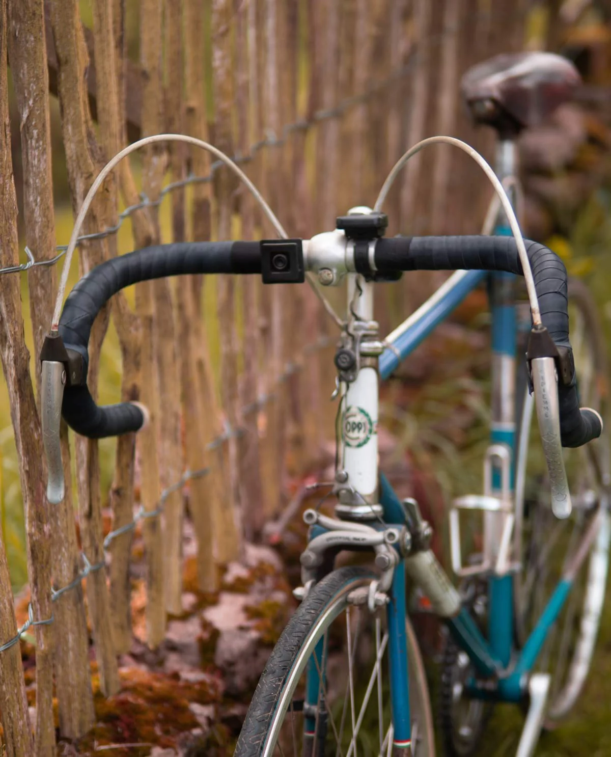 Adri V. - immagine 9