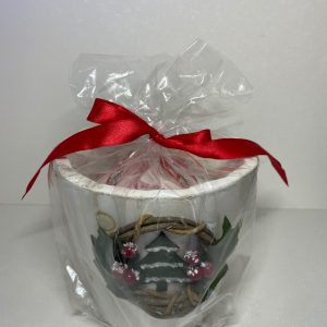 Preziosa vasetto natalizio